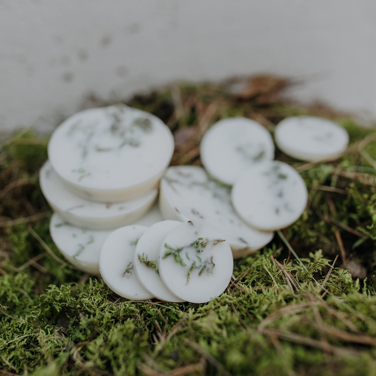 Moss scented wax rounds