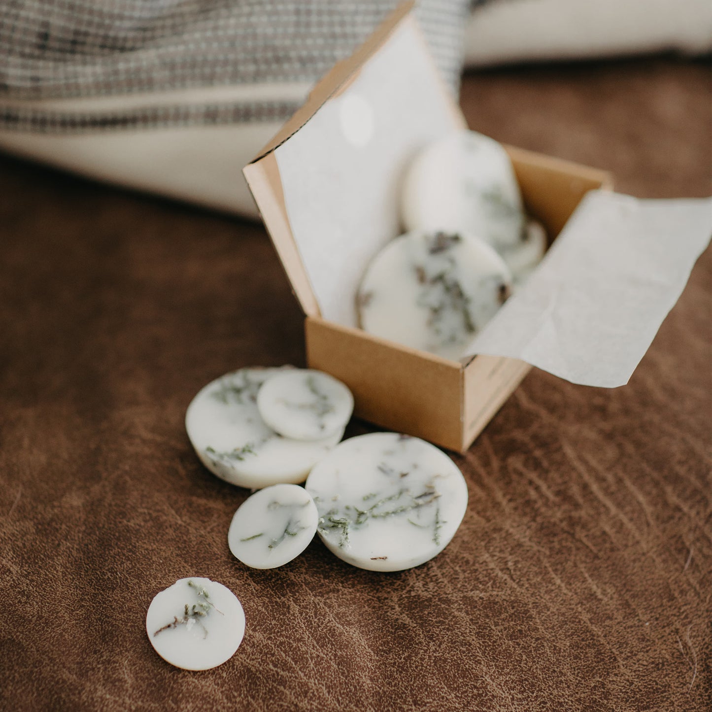 Moss scented wax rounds