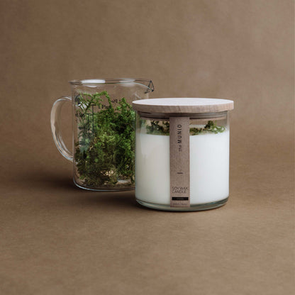 Moss candle in glass votive