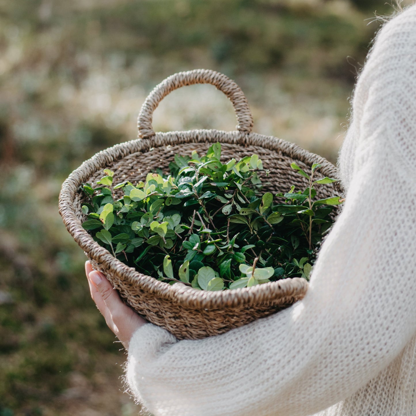 Forest berries pillar candle