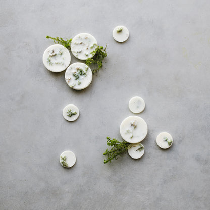 Moss scented wax rounds