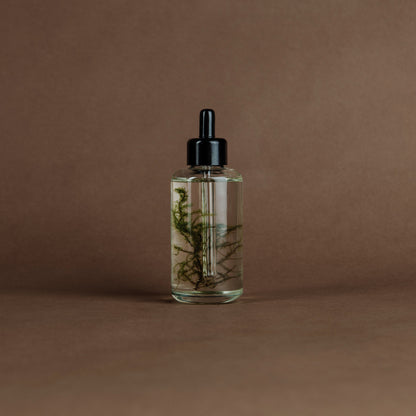 Moss organic body oil